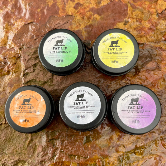 Fat Lip - Tallow Lip Balm 15ml